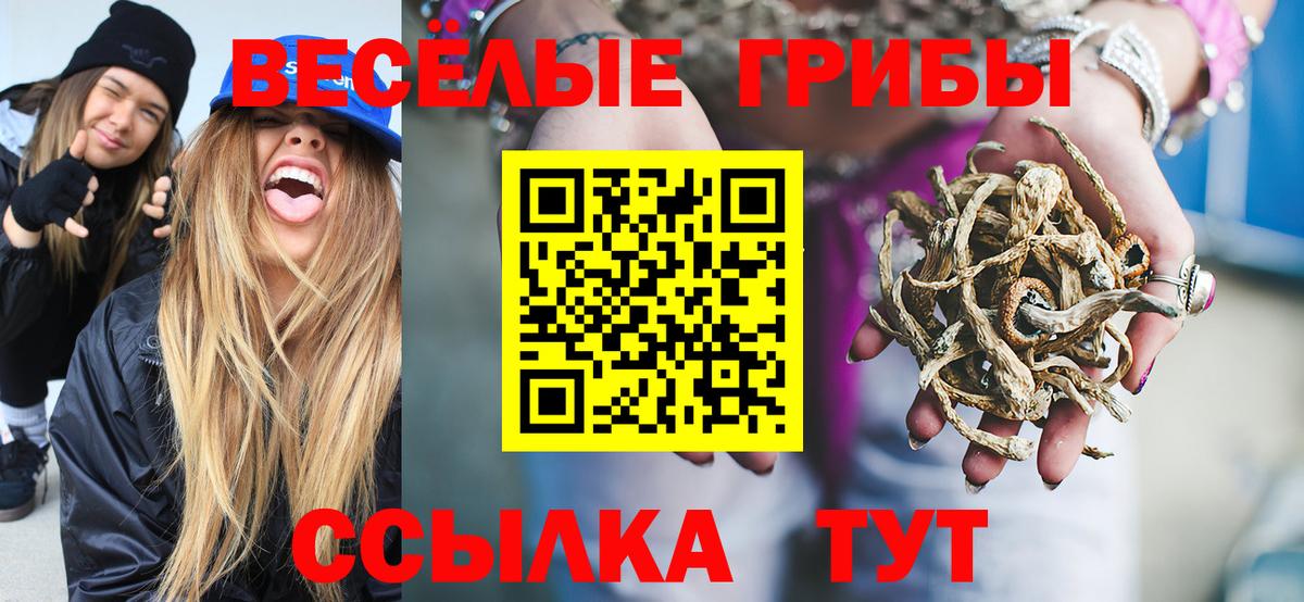 Галлюциногенные грибы прущие грибы Озёрск